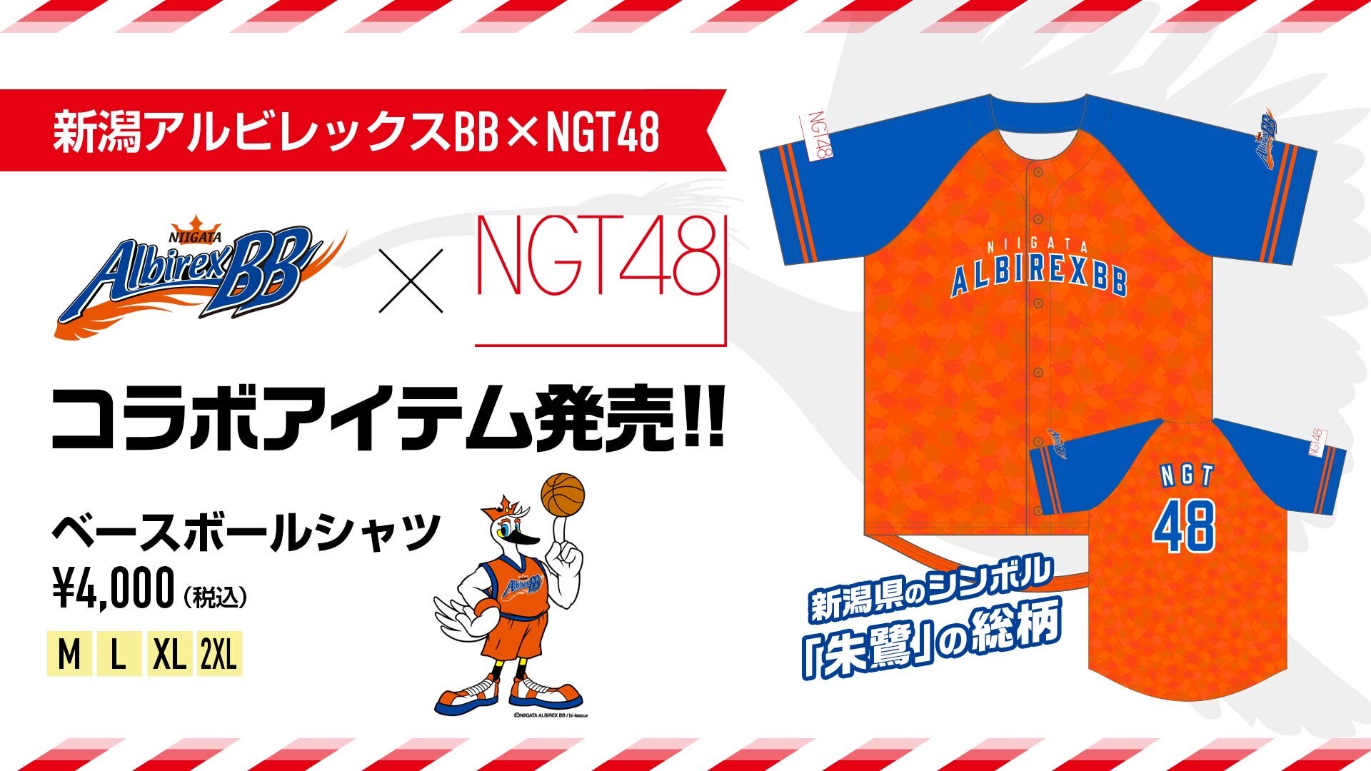 現金特価 アルビレックス新潟ベースボールシャツ新品未使用