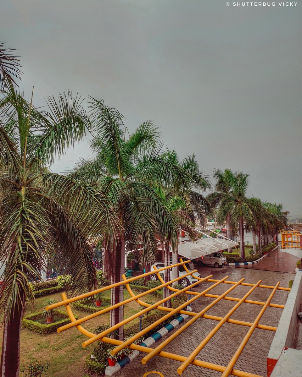 lostwithvicky's tweet photo. Awesome Weather ๐
#darkcloudes #monsoonvibes
#mobilephotography #photography #nature #photooftheday #naturephotography #india #mobile #instagram #photographer #lucknow #pro #sunset #lightroom #indianphotography #instadaily #mobilephoto #naturelovers #snapseed #shutterbugvicky https://t.co/YD1KfDWAOK