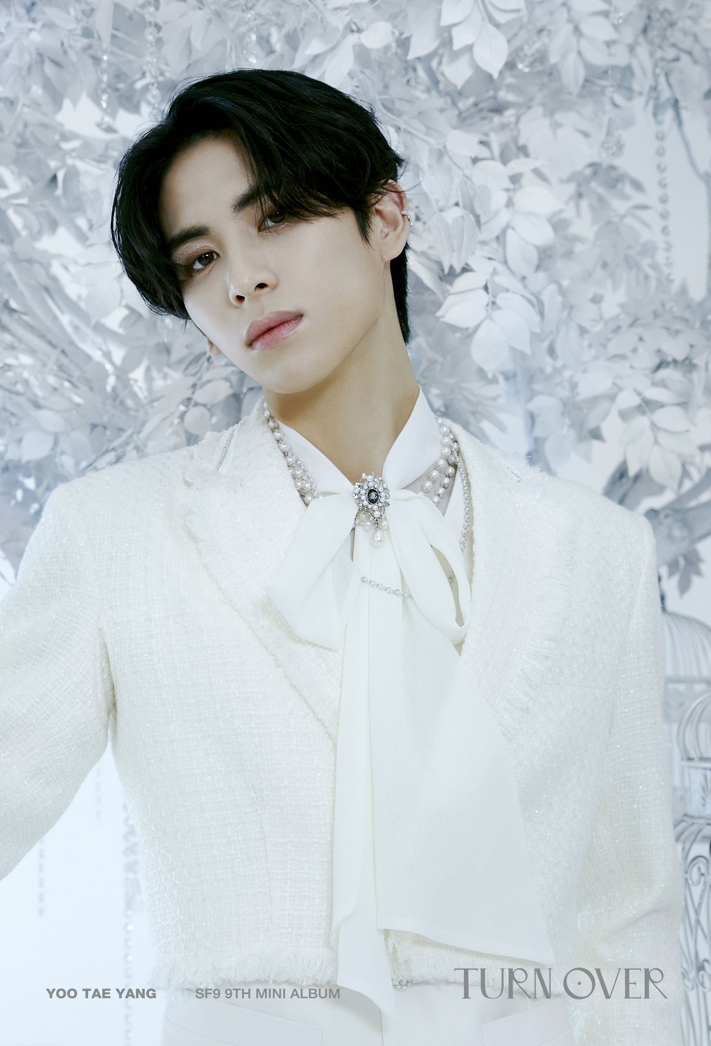 SF9 テヤン TURN OVER トレカ EVERLINE 참참 on X: 