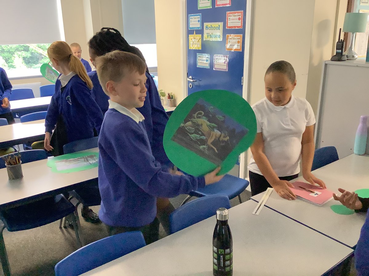 ReinwoodJuniors's tweet image. And so the investigation begins - where did all of these lily pads come from? #RJSReadAllAboutIt #RJSEnglish #RJS4B @HMHbooks