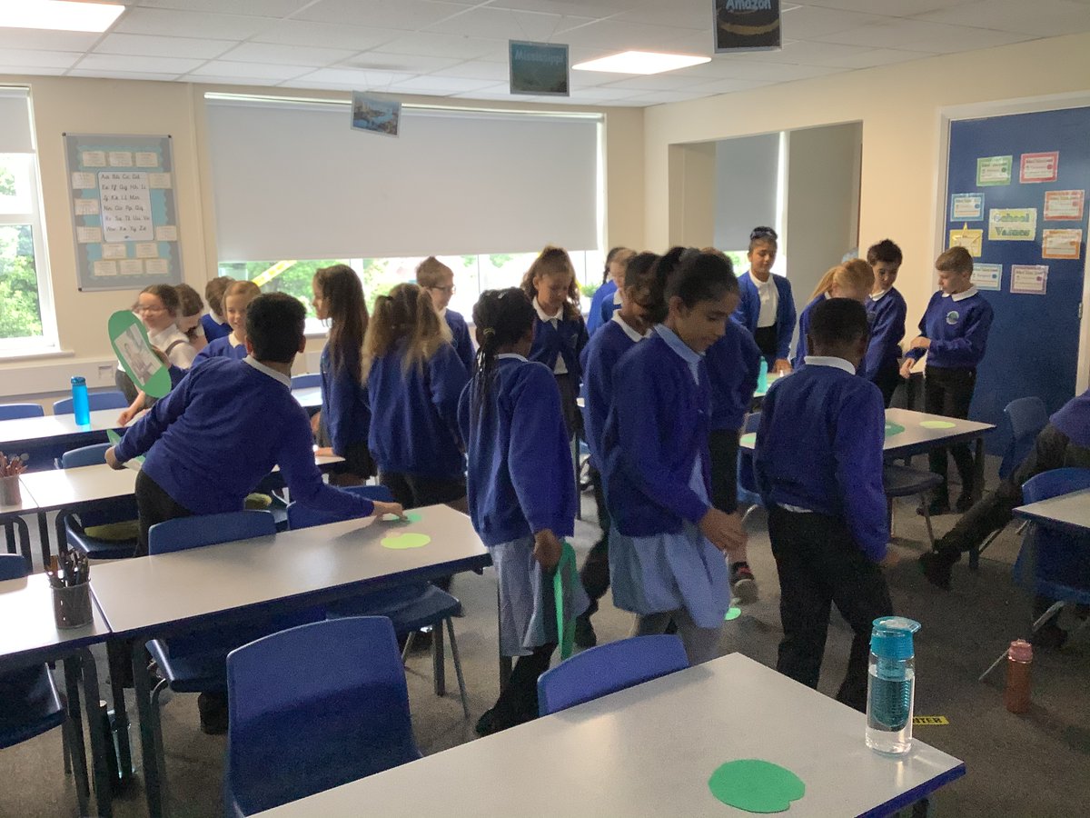 ReinwoodJuniors's tweet image. And so the investigation begins - where did all of these lily pads come from? #RJSReadAllAboutIt #RJSEnglish #RJS4B @HMHbooks