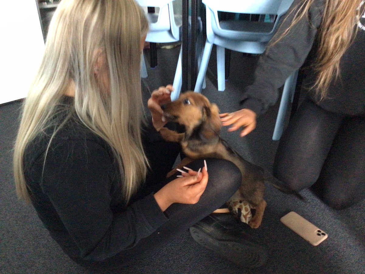 Our new <a href="/BerthaParkHigh/">Bertha Park High School</a> mascot! BEST DAY EVER 😁🥰🐶🐶