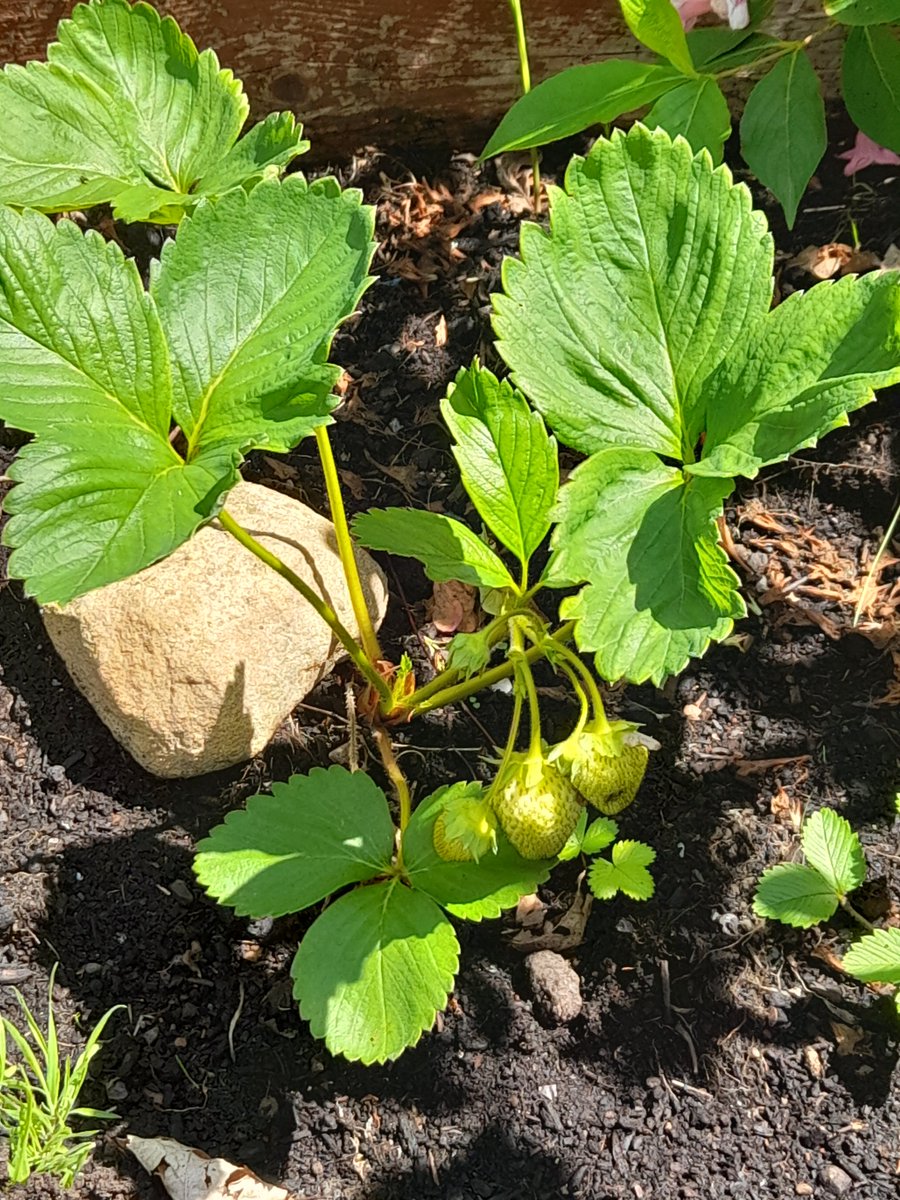 BethanyScience tweet media