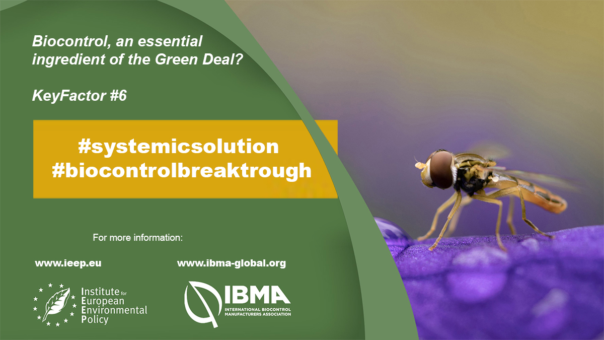 IBMAgl's tweet photo. #Biocontrol can offer a systemic and balanced solution for #sustainable #agriculture and it can be an enabler of the #EUGreenDeal, particularly for the #Farm2Fork objectives. #biocontrolbreakthrough https://t.co/xaYDv35GPu #systemicsolution https://t.co/wix1tiLbaz