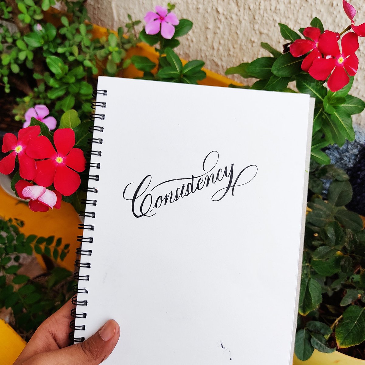 riya___1111's tweet photo. @LIVEpositivity To Flourish letters in my way .
https://t.co/3SzYmvjOwp https://t.co/OnNrMXqVqx