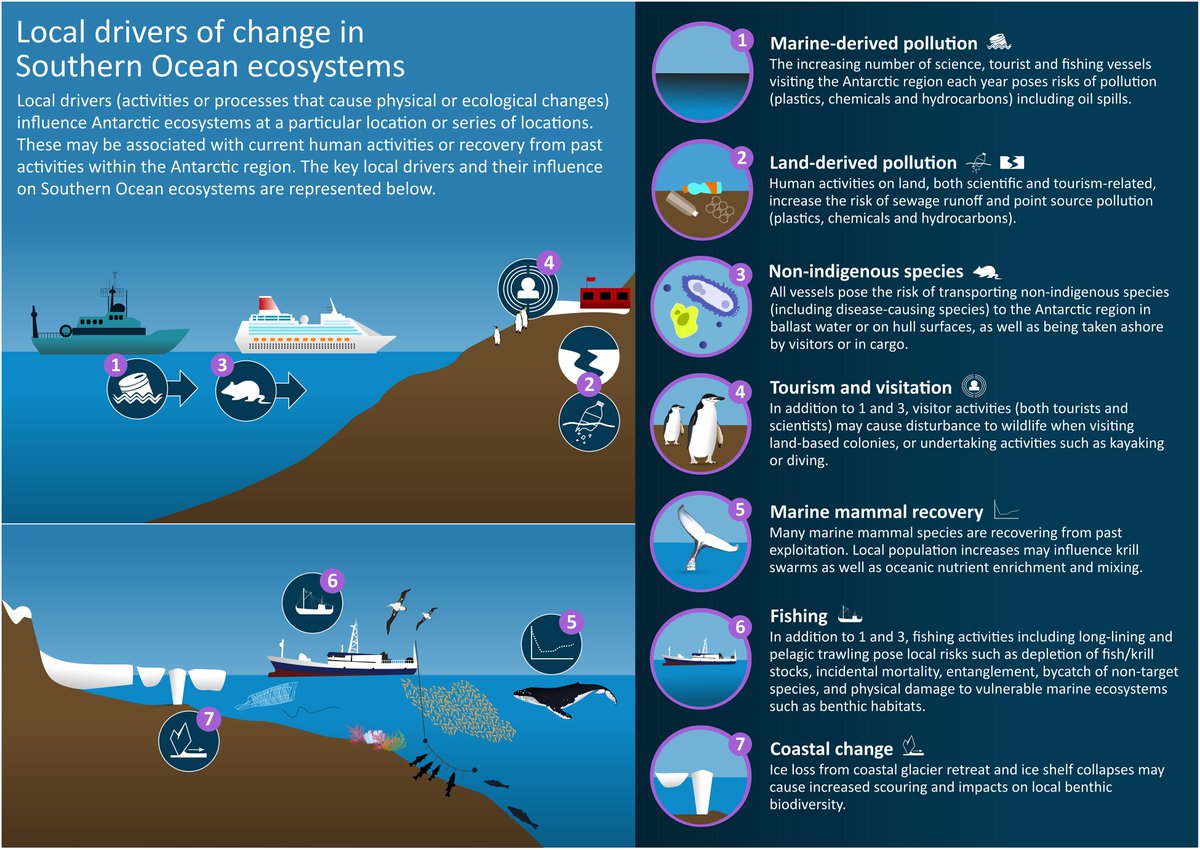 Our new contribution to @MEASO2020 is out today - on Local Drivers of Change in Southern Ocean Ecosystems: Human Activities and Policy Implications. Open access 👉 doi.org/10.3389/fevo.2… Big thanks to a great team of authors, and to @McCormackSA for the excellent infographic!