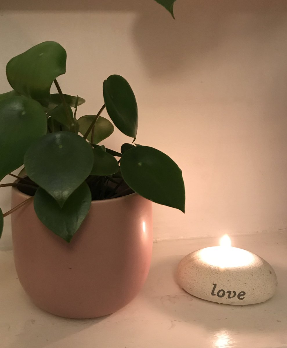 amyleebarrett's tweet image. #ACandleForKate