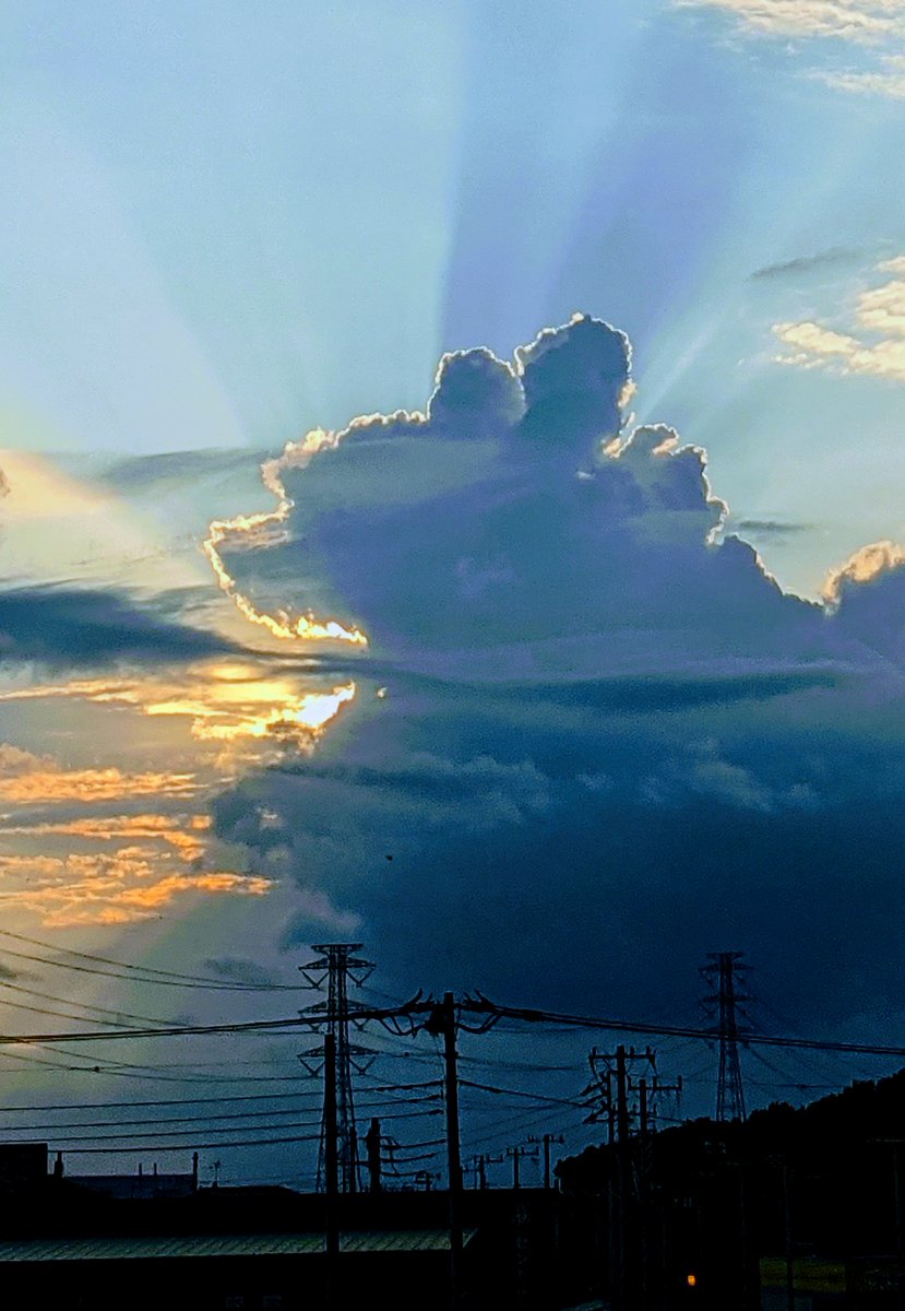 くまの〇ーさんに見えなくもない リアルな熊の横顔にもʕ๑•ɷ•๑ʔ