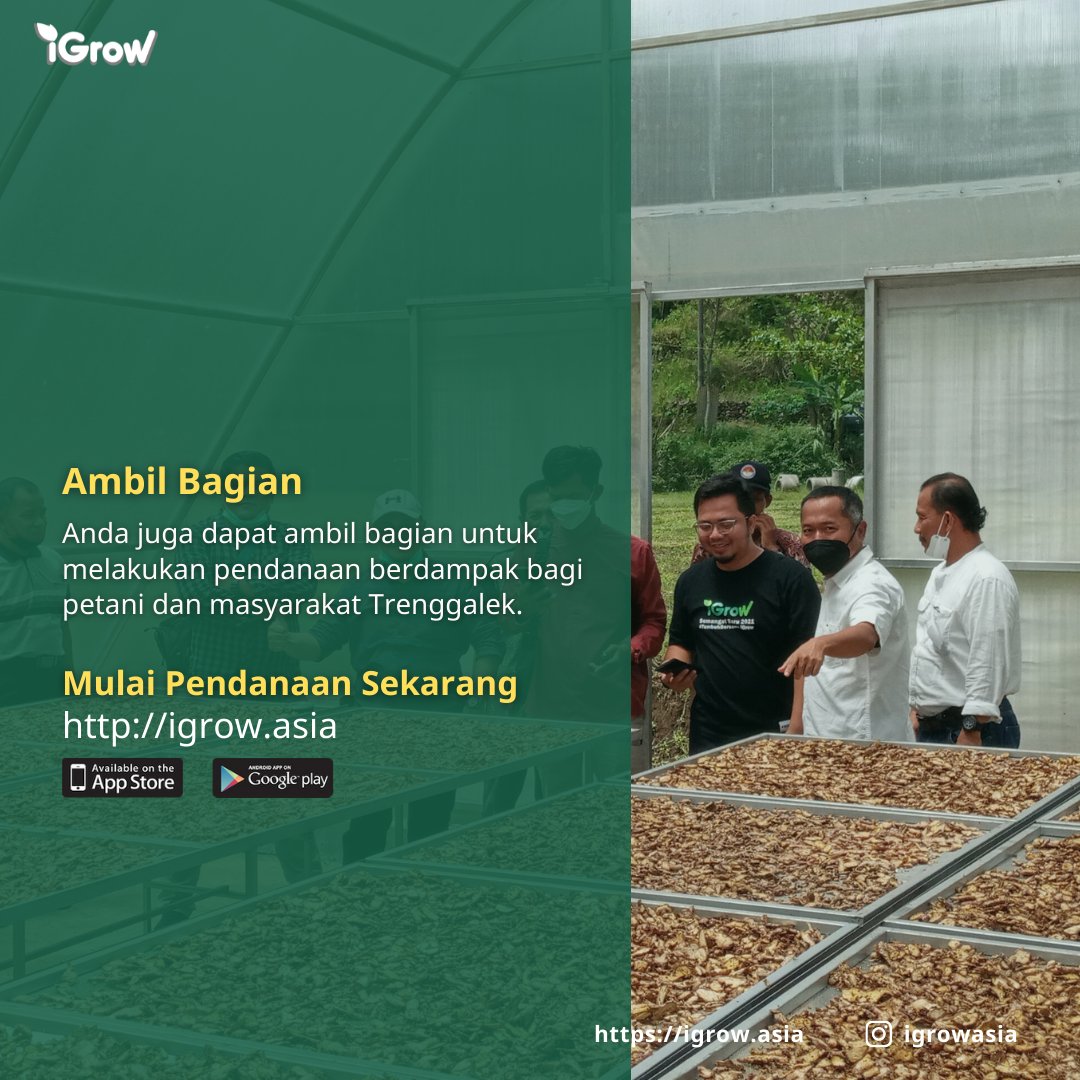 Growers, Anda dapat ambil bagian untuk tumbuh bersama jahe merah di Trenggalek. Simak selengkapnya disini ya!
#TumbuhBersama #p2plending #p2plendingindonesia #petani #pertanianindonesia #jahemerah