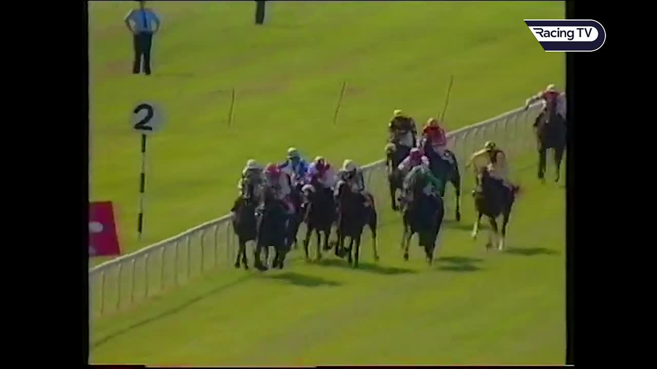 Netkeiba 1993年の愛ダービー勝ち馬は のちに日本で種牡馬として活躍するコマンダーインチーフ 2着はジャパンcに2度出走する 4着 3着 エルナンド ちなみにコマンダーインチーフ唯一の敗戦は次走 ラストランとなるキングジョージ3着 1着はオペラハウス