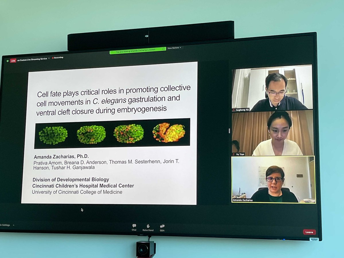 AmandaZachariasLab🔬〰️ tweet media