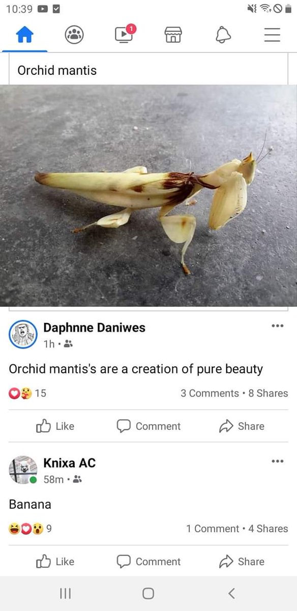 Banana