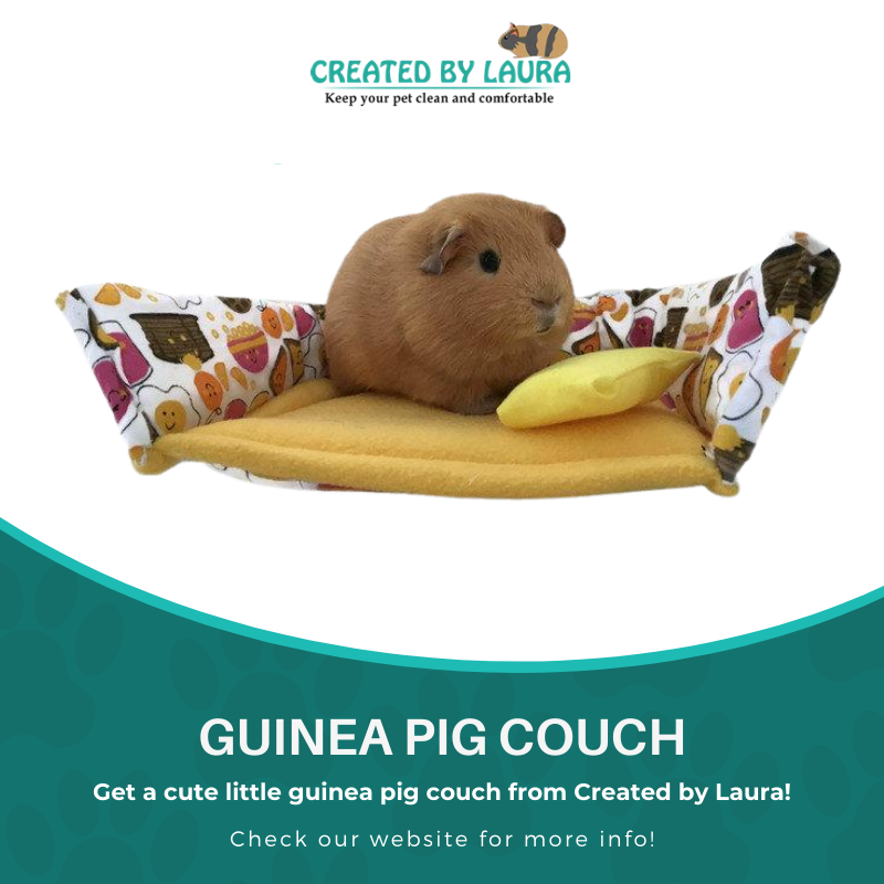 This little bed is made of soft sturdy foam to provide your guinea pig with the ultimate in luxury. 😍

👉 Get yours here: createdbylaura.com/products/guine…