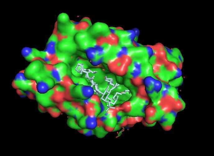 DFB_UM's tweet photo. Yesterday our students used PYMOL to visualize different protein structures! Take a look at some of them! 🤯 #DFB2021 https://t.co/5rqeTLeahB