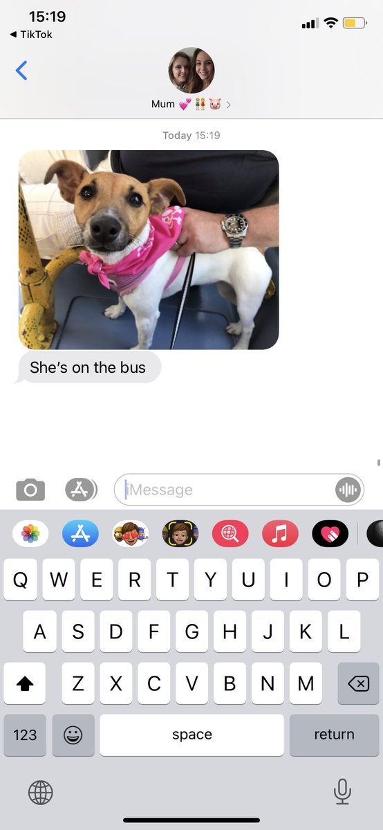 hanphillips96's tweet photo. She’s on the bus 🥺🥺🥺🥺 https://t.co/mvnEbh1TEO