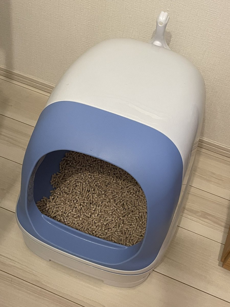 okey__dokey's tweet photo. プライムセールで自動トイレ買ってしまった。。。人間より多いトイレ3つ。。。 https://t.co/TfWlKc2qc1