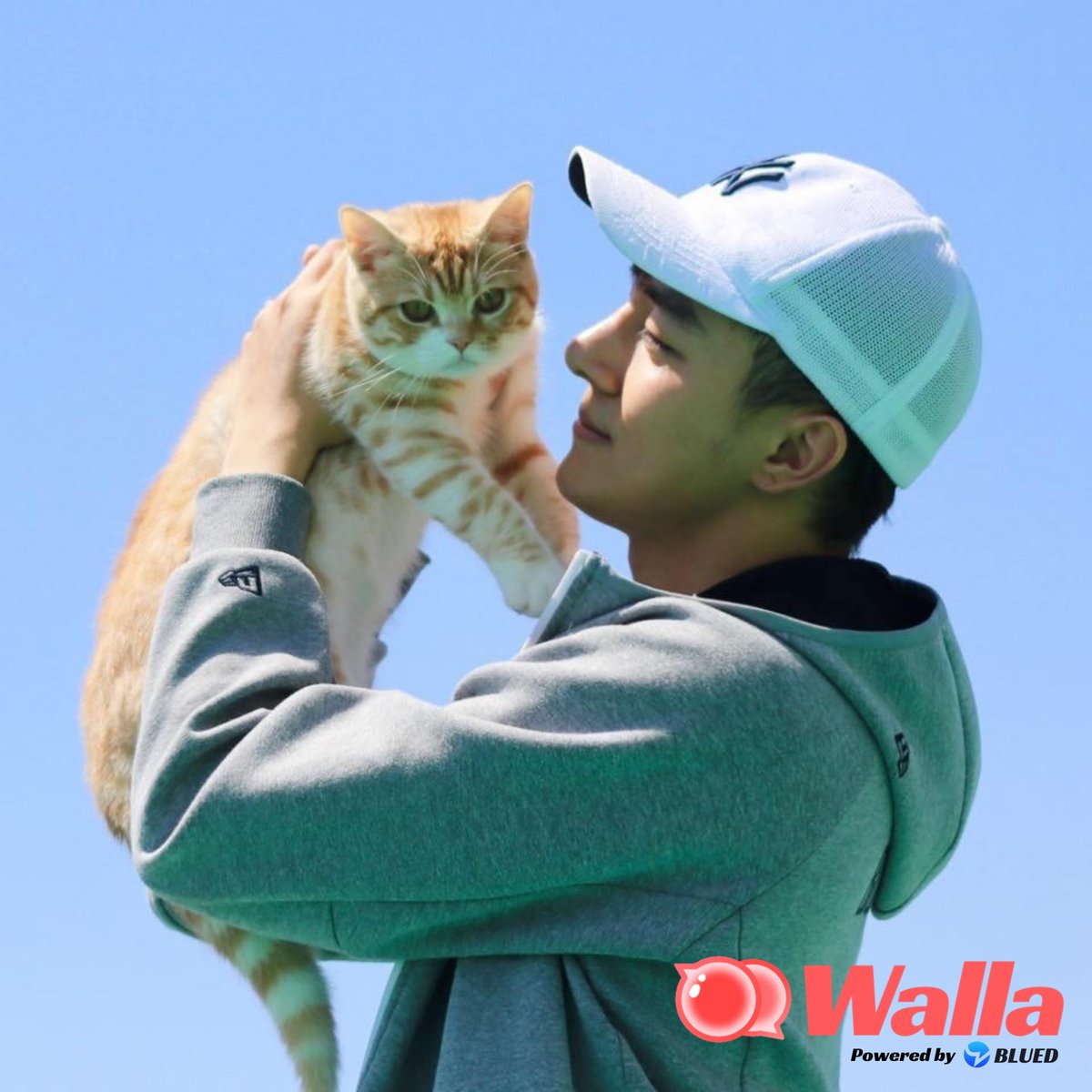 Walla Indonesia tweet media