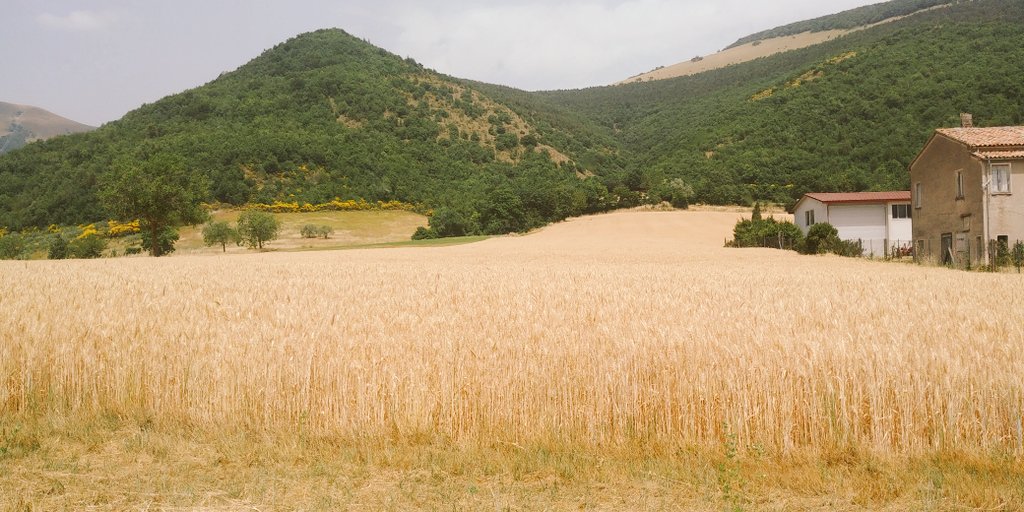 Giovanni Gentili tweet media