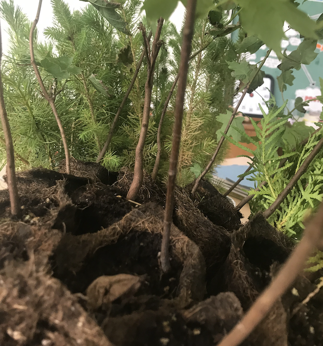 Sebastian Basualto tweet media