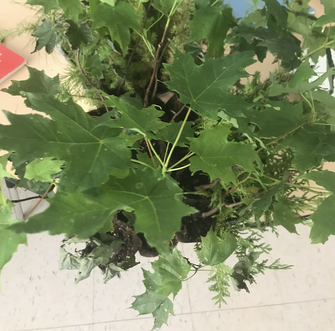 Sebastian Basualto tweet media