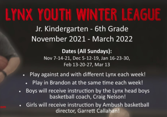 AmbushLLC's tweet photo. @BVBoysHoops @TriState_Ambush - ANNOUNCING the BV Lynx Winter League!!!! 

Open to Jr K - 6th Grade Athletes - More info here: https://t.co/gWZUfmxBfJ 

- https://t.co/9mPvaNtCAI https://t.co/NdKiAHz1uY