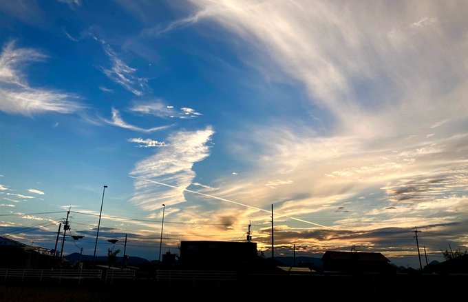 グレンリベットが無くなったので次はグレンフィディックにしようかなと考え中。ちょっと良い18年のを。それでも響の半額くらいで買える。けど買えるなら正直響のJHが欲しいなあ。この機会に碧を試したい気もします。比較的安いし…。 