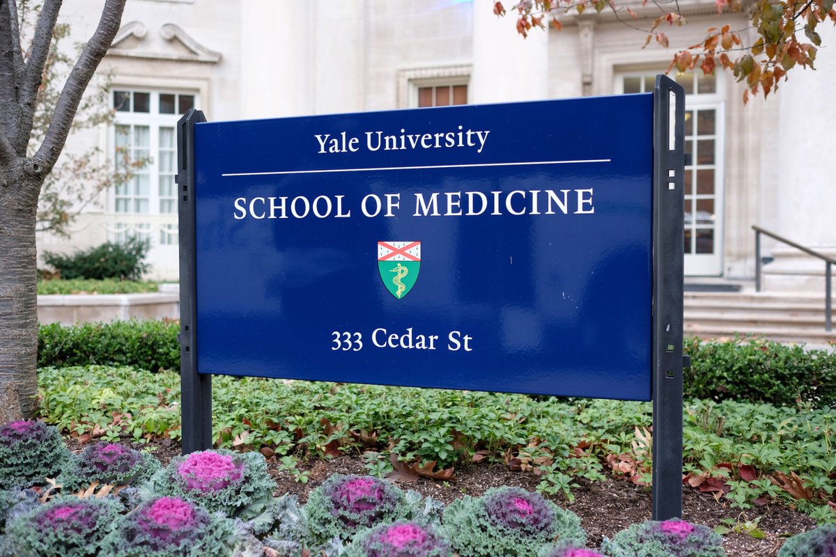 William Damsky MD, PhD (@billdamsky) on Twitter photo We are recruiting a #postdoc to work on skin and cancer immunology! Exciting projects in novel targeted treatments for inflamm skin dz, translational immunology, and new preclinical models! Please RT. #postdocjob #postdocjobs <a href="/yalederm/">Yale Dermatology</a>
postdocs.yale.edu/yale-postdocto… (Damsky lab) We are recruiting a #postdoc to work on skin and cancer immunology! Exciting projects in novel targeted treatments for inflamm skin dz, translational immunology, and new preclinical models! Please RT. #postdocjob #postdocjobs <a href="/yalederm/">Yale Dermatology</a>
postdocs.yale.edu/yale-postdocto… (Damsky lab)