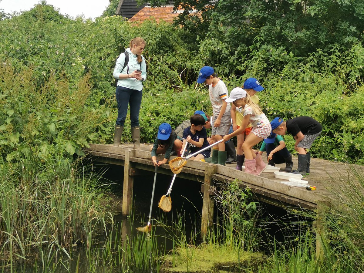 prospecths's tweet photo. 3C exploring the ponds at Flatford Mill #ponddipping #waterexplorers #phs https://t.co/NvZAEhhr5F
