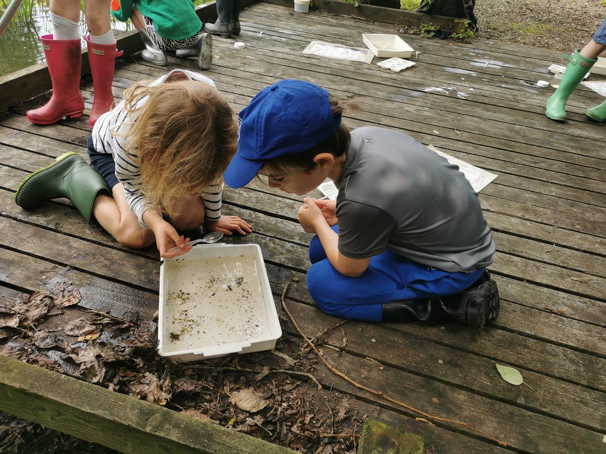 prospecths's tweet photo. 3C exploring the ponds at Flatford Mill #ponddipping #waterexplorers #phs https://t.co/NvZAEhhr5F
