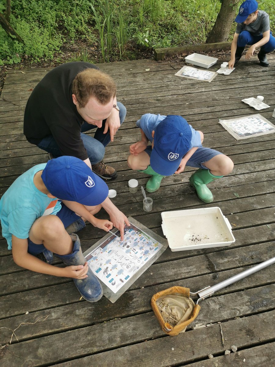 prospecths's tweet photo. 3C exploring the ponds at Flatford Mill #ponddipping #waterexplorers #phs https://t.co/NvZAEhhr5F
