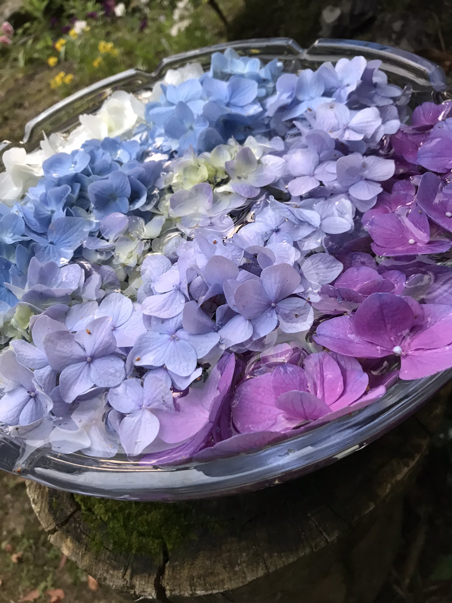 隅田の花火 Twitter Search Twitter