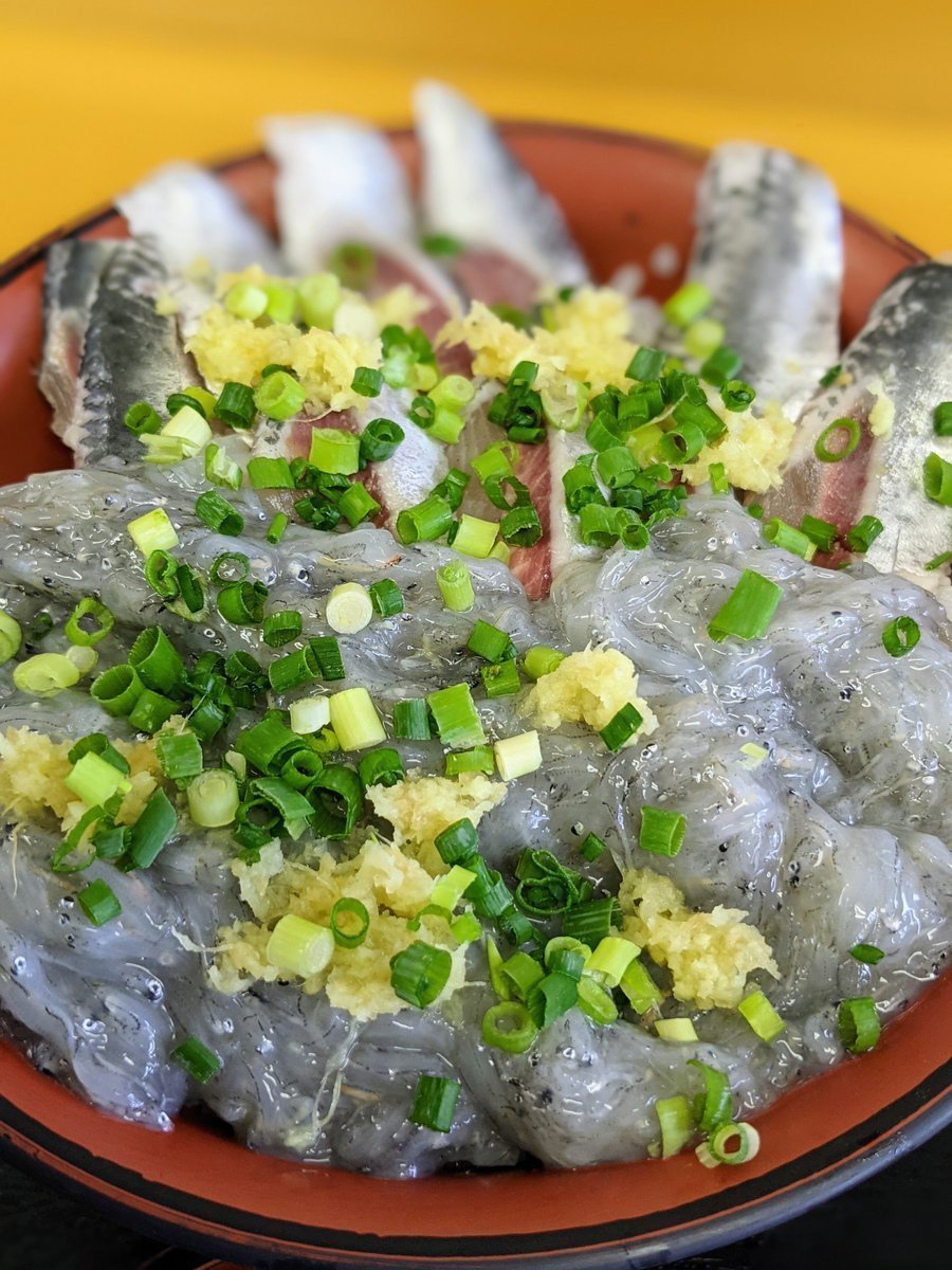 すってんぱれ 柏公設市場の和食 晃市でいわし親子丼を 生しらす いわしの刺身が乗った丼です 梅雨の時期に水揚げされたマイワシは 入梅いわし と呼ばれ 脂が乗って美味しいとの事です ほ 本当だ 𓆟𓆟 D D 柏市 柏市場 晃市