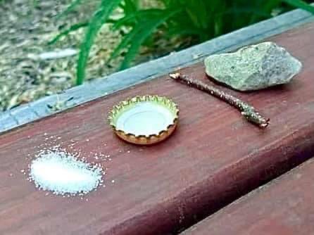 Myggfälla: Myggor landar i vad de tror är en hög med socker, men det är salt. Då blir myggorna törstiga och dricker ur korken, som myggorna tror är fylld med vatten, men det är vodka. Myggorna blir då fulla, snubblar i pinnen och slår huvudet i stenen.

Ping <a href="/Gzale/">GzaIe</a>