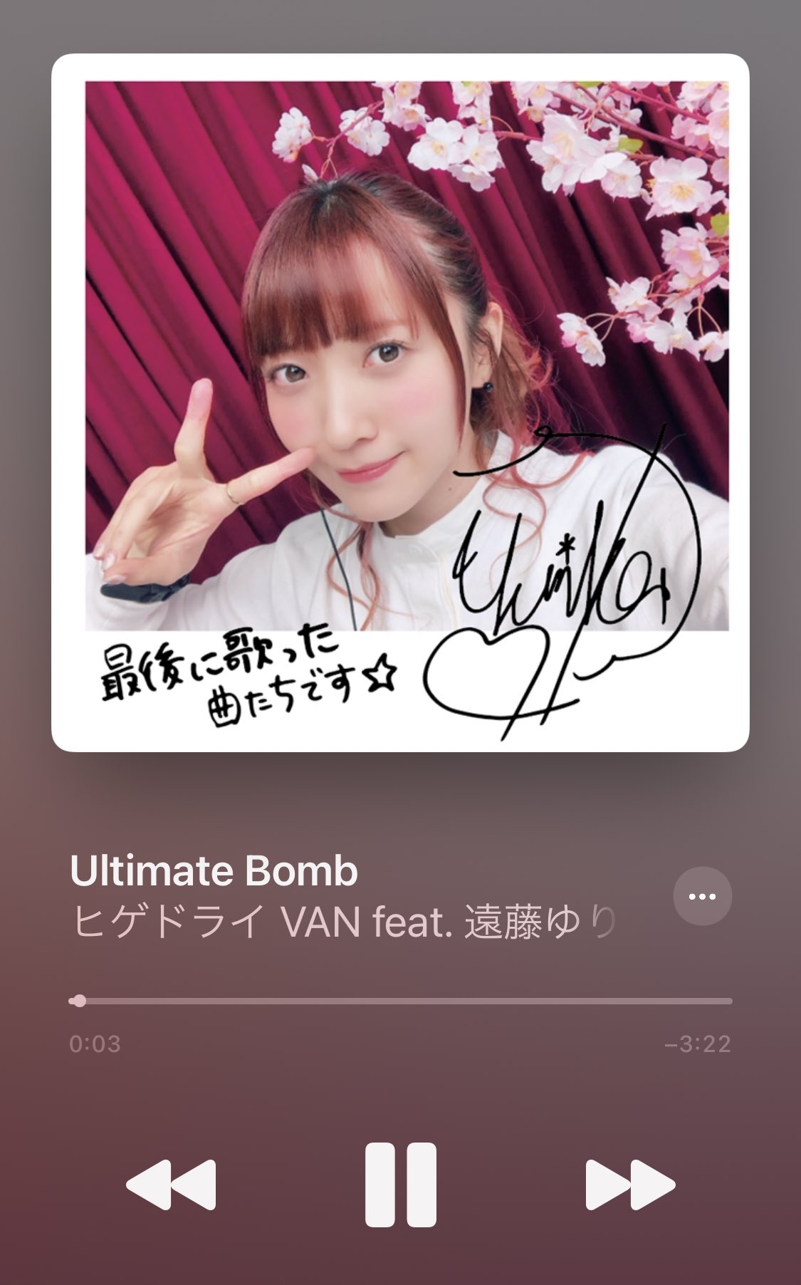 ワールドフリッパー 遠藤ゆりか CD