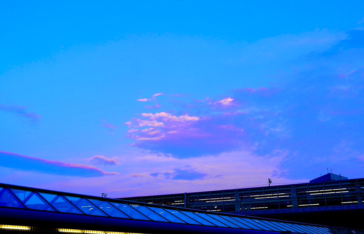 ゴンザレス三上のプロフィール 画像 写真