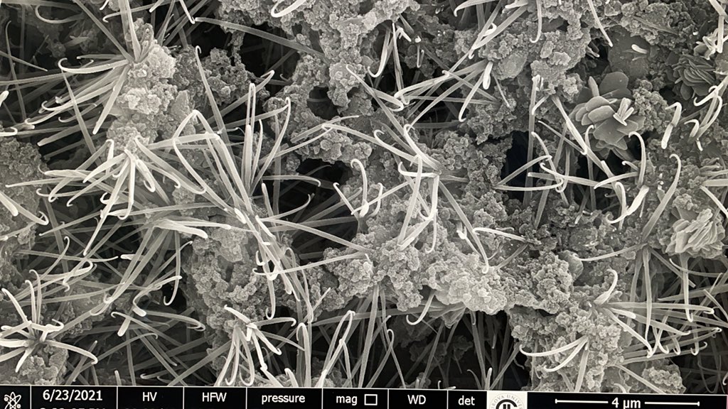 Do you see #carbondots hidden in this SEM image 🐙🐙🐙? 🕵️‍♀️ stay tuned…#ChemistryNews #realchem #materialscience @FunGroup_MEU