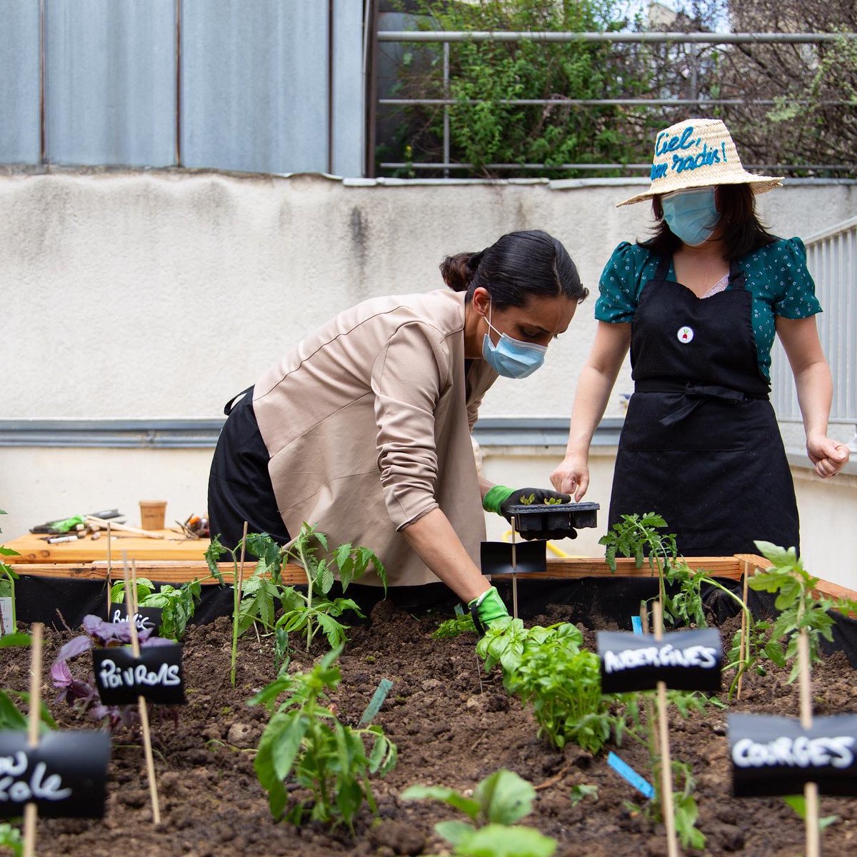 Les collaborateurs de <a href="/Paris_Habitat/">Paris Habitat</a>  ont créé ensemble leur potager participatif sur le toit de leur agence ! Ils cultivent ensemble ce jardin pour en partager les fruits à la pause déjeuner !
#qvt #rse #potagerentreprise 
Photos <a href="/Paris_Habitat/">Paris Habitat</a>