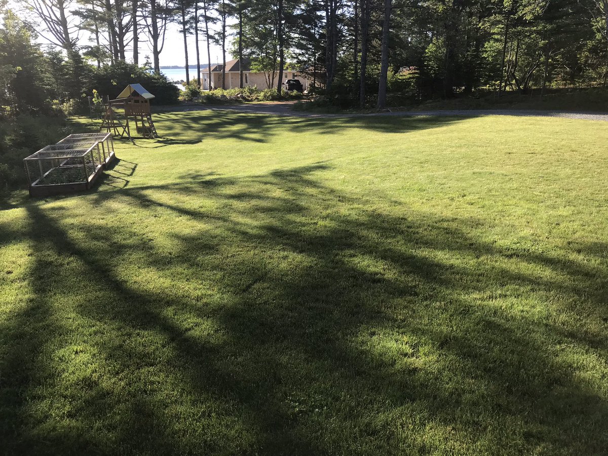 HalifaxSeedTurf's tweet photo. Rounding into form for #CanadaDay. #LawnPros have to flex on holidays. Next application will be @Aquatrols #aqueduct followed with a shot of RETENTION 46-0-0 to light the colour up. Little #fiesta #fulvicacid to some straggling weeds tonight with the battery backpack! #dialedin https://t.co/v6yCou4Mz2