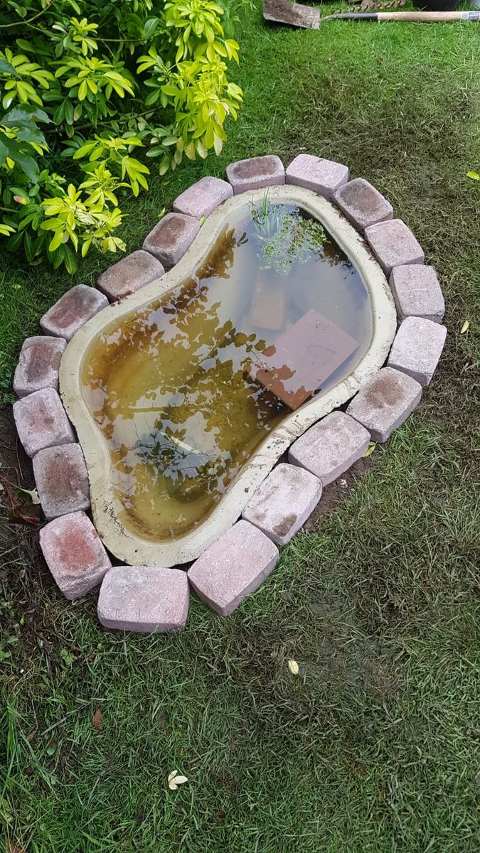 RotaryBeckenham's tweet photo. Beckenham Rotary is taking up the challenge of helping the environment - a small pond will attract wildlife and enhance the environment. You can do in in a few hours with a profile pond and some suitable pond weeds - simple beautiful and environmental β
https://t.co/lgvDU5k178