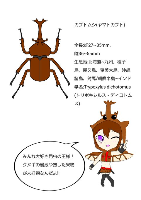 ヤマトカブトのtwitterイラスト検索結果 ヤマトカブトのtwitterイラスト検索結果
