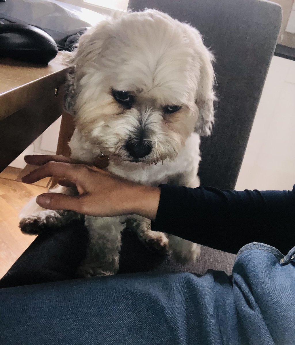 Amy Sims QN 💙🇺🇦 tweet media