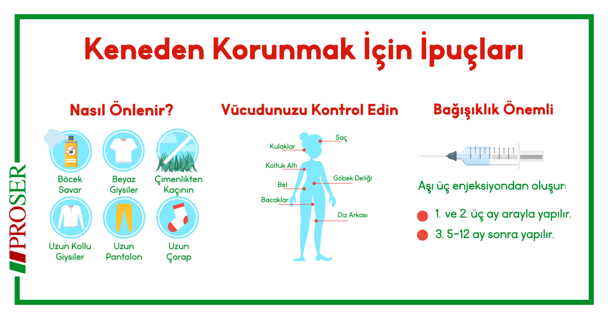 proserilaclama's tweet photo. Ev, Ofis, İş Yeri ve Yaşam Alanlarımız da Kene gördüğümüz zaman ne yapmalıyız?
Bize ulaşın, size en uygun çözümü birlikte bulalım.  
📞  02122812141 - 05323342865
📩  proser@proserilaclama.com
🌐  https://t.co/OzBNrJMYUi https://t.co/oLHPsnTm9X