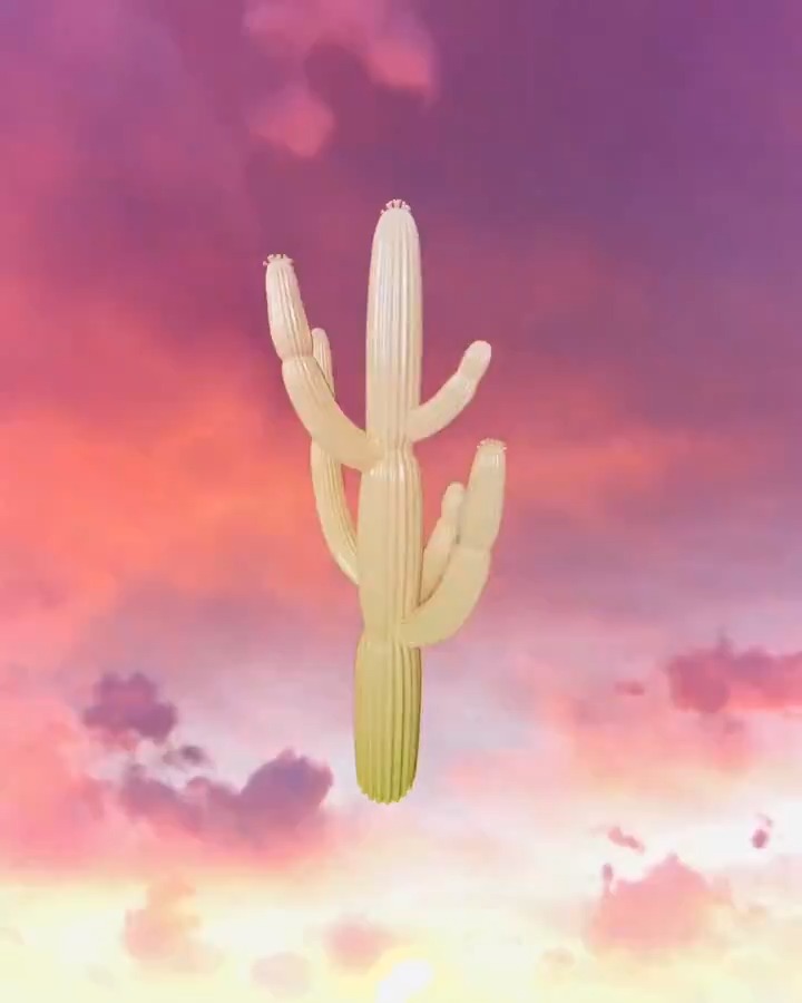 Cactus jack iphone HD wallpapers  Pxfuel