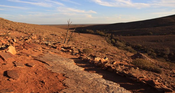 Everything_Dino's tweet photo. Important fossil site in South Australia gains greater protection, a conservation success story - Nilpena Ediacara National Park potentially on the way to getting UNESCO World Heritage status #fossils #ediacaranfossils #FlindersRange https://t.co/sTxfTySEHa