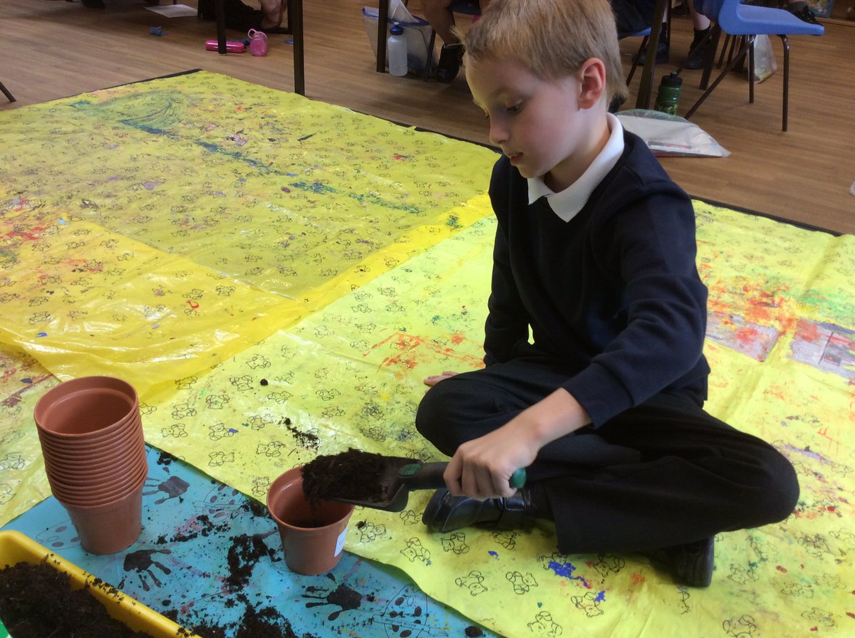 MWCP_Year2's tweet photo. We have been planting sunflowers #mwcpscience https://t.co/atF18dS39t