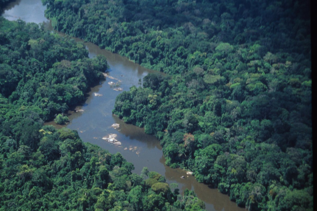 outremers360's tweet photo. #Guyane : L'#IRD lance #Progysat en partenariat avec le Suriname et le Brésil https://t.co/ye1s4jJk6o https://t.co/RZ6Jq50qr4