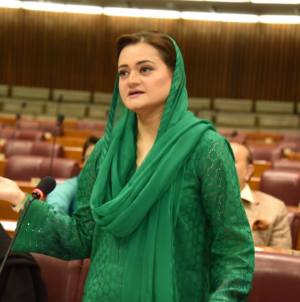 Waqtnewstv's tweet photo. Budget Session 2021 
#Budget2021 #GeneralDiscussion #NASession #NAatWork @Ali_MuhammadPTI @Marriyum_A @RVankwani https://t.co/iWwCfge05Z