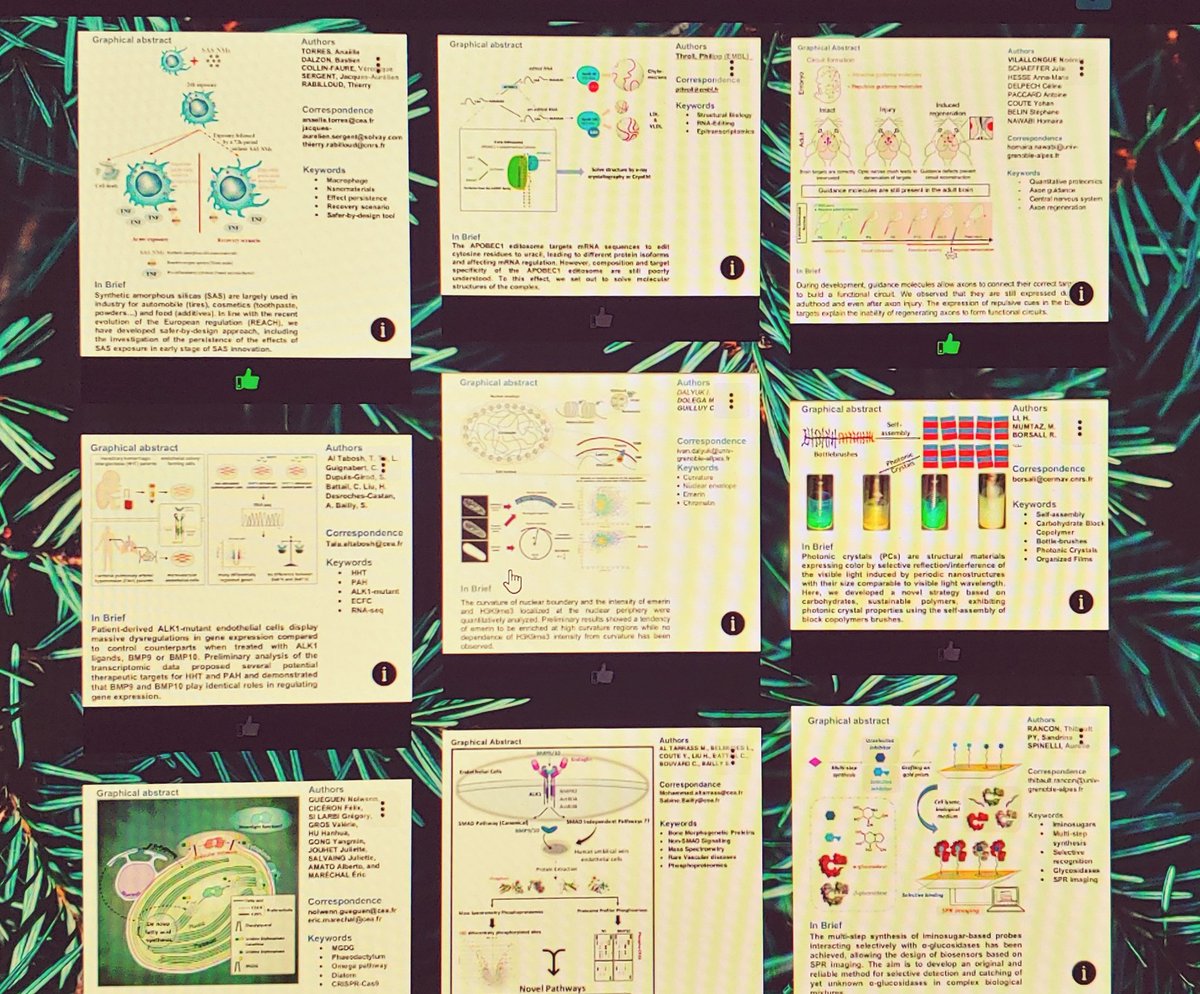 C'est la journée scientifique annuelle des doctorants de <a href="/EDCSV_grenoble/">EDCSV</a> avec un petit concours de graphical abstracts.