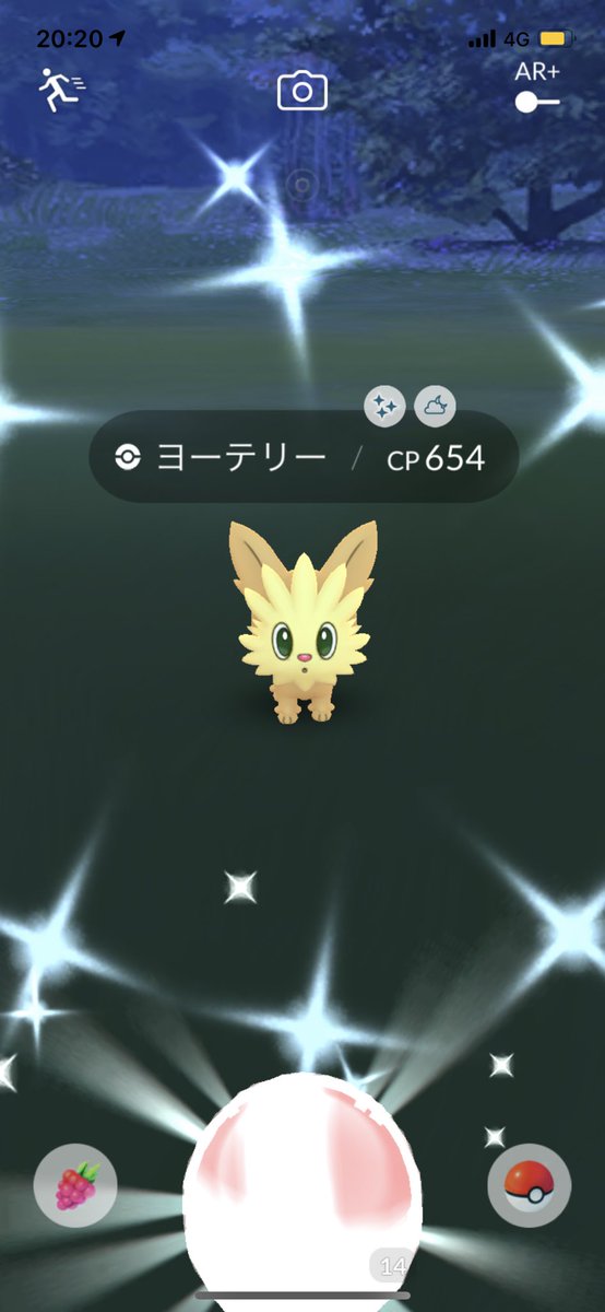 ヨーテリー