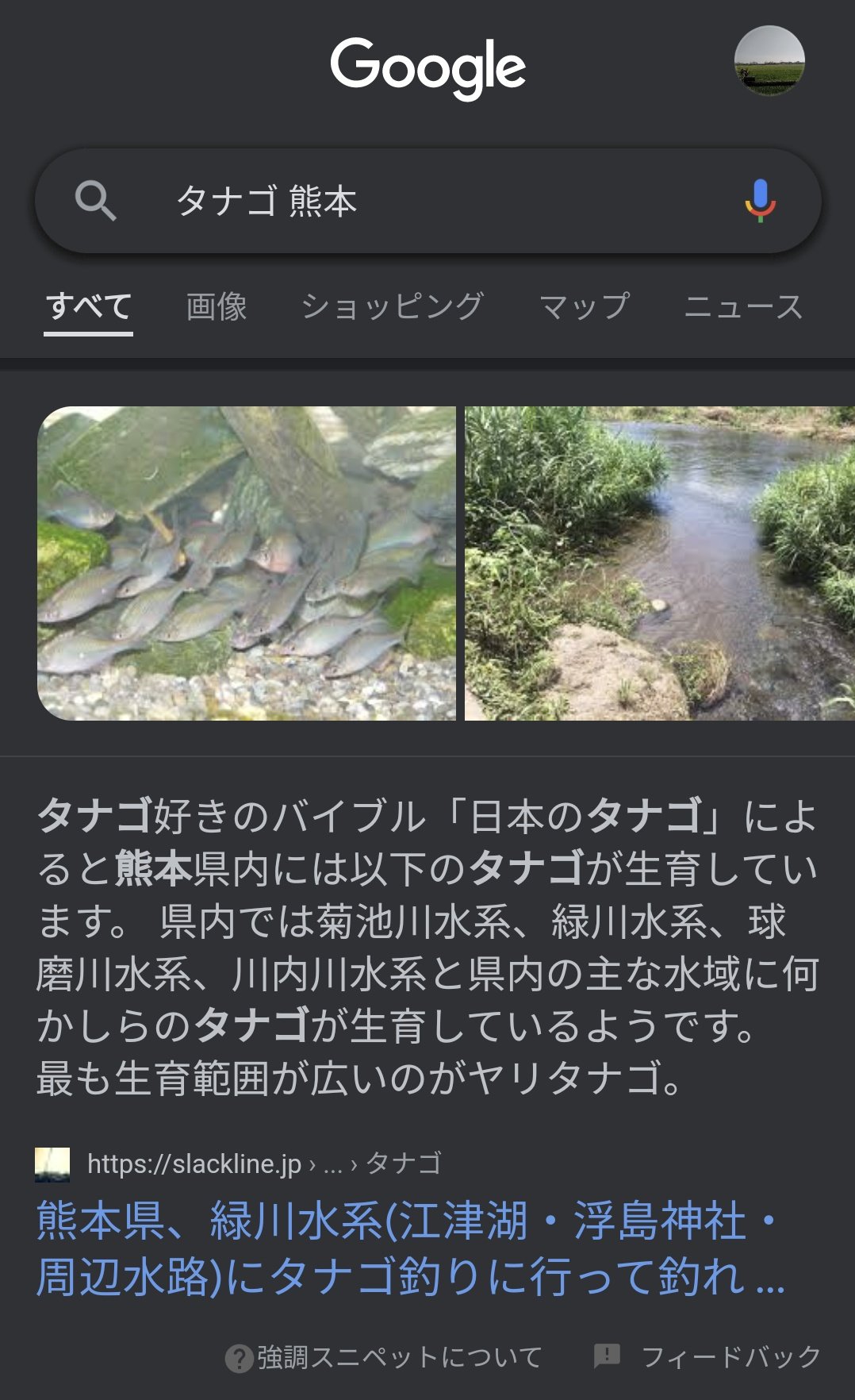 奈良漬 Yamori Yamori 県内では菊池川水系 緑川水系 球磨川水系 川内川水系と県内の主な水域に何かしらのタナゴ が生育しているようです 最も生育範囲が広いのがヤリタナゴ 次にアブラボテ カネヒラ カゼトゲ イチモンジ ニッポンバラ